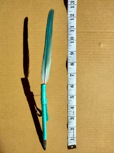 IMG_20221003_121516__01__01